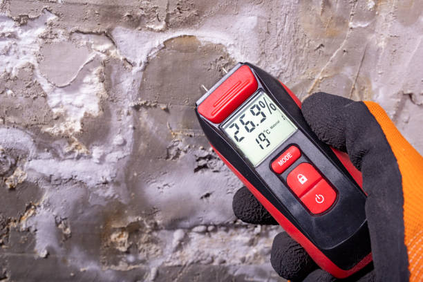 Best Attic Mold Remediation in Blanchard, OK