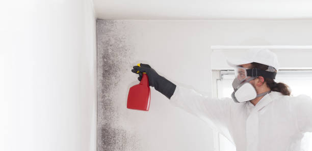 Best Residential Mold Remediation in Blanchard, OK