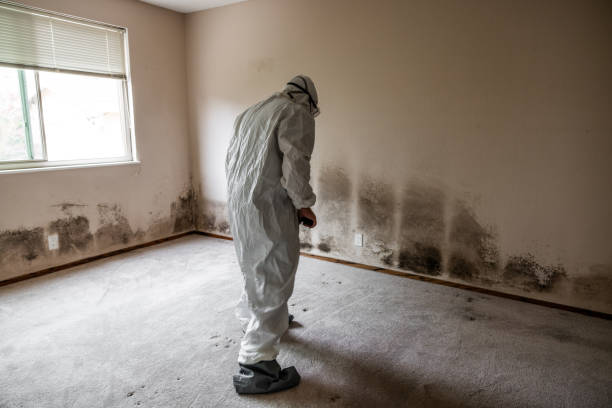 Best Post-Flood Mold Remediation in Blanchard, OK