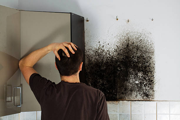 Best Mold Testing and Inspection Services in Blanchard, OK